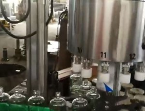 12頭高**全自動(dòng)灌裝機(jī)，塑料蓋自動(dòng)提升理蓋掛蓋機(jī)